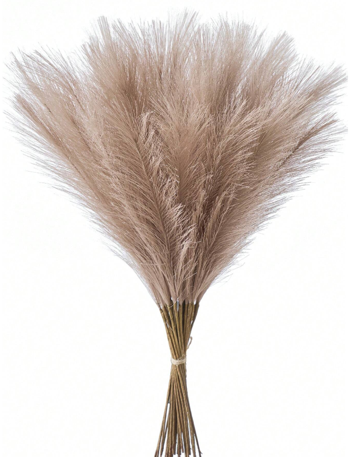 Pampas - Set of 10