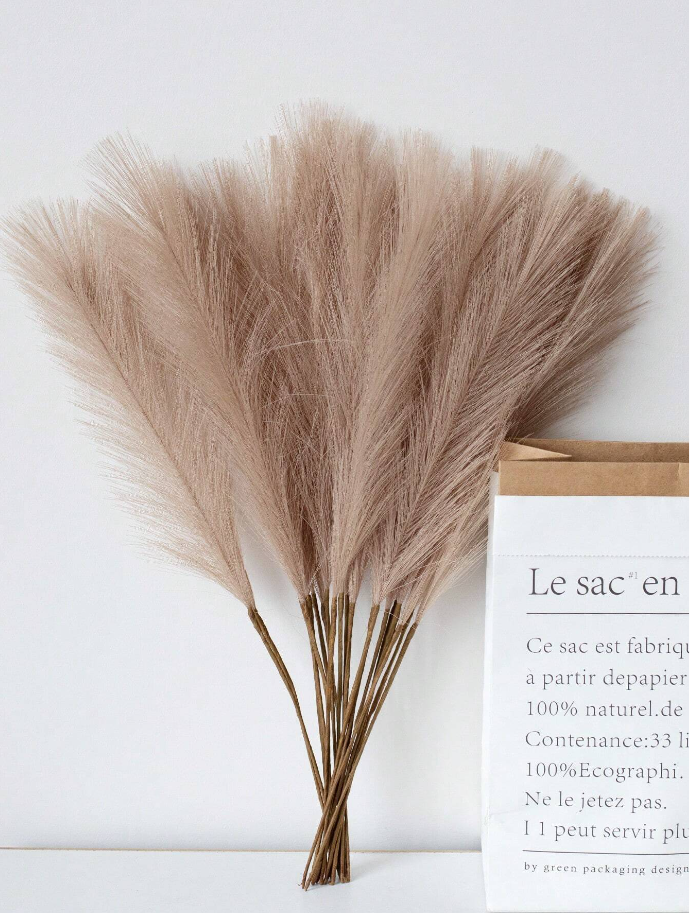 Pampas - Set of 10