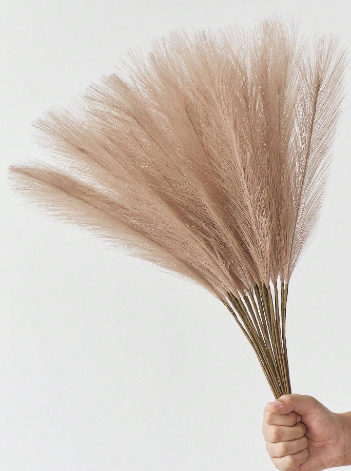 Pampas - Set of 10