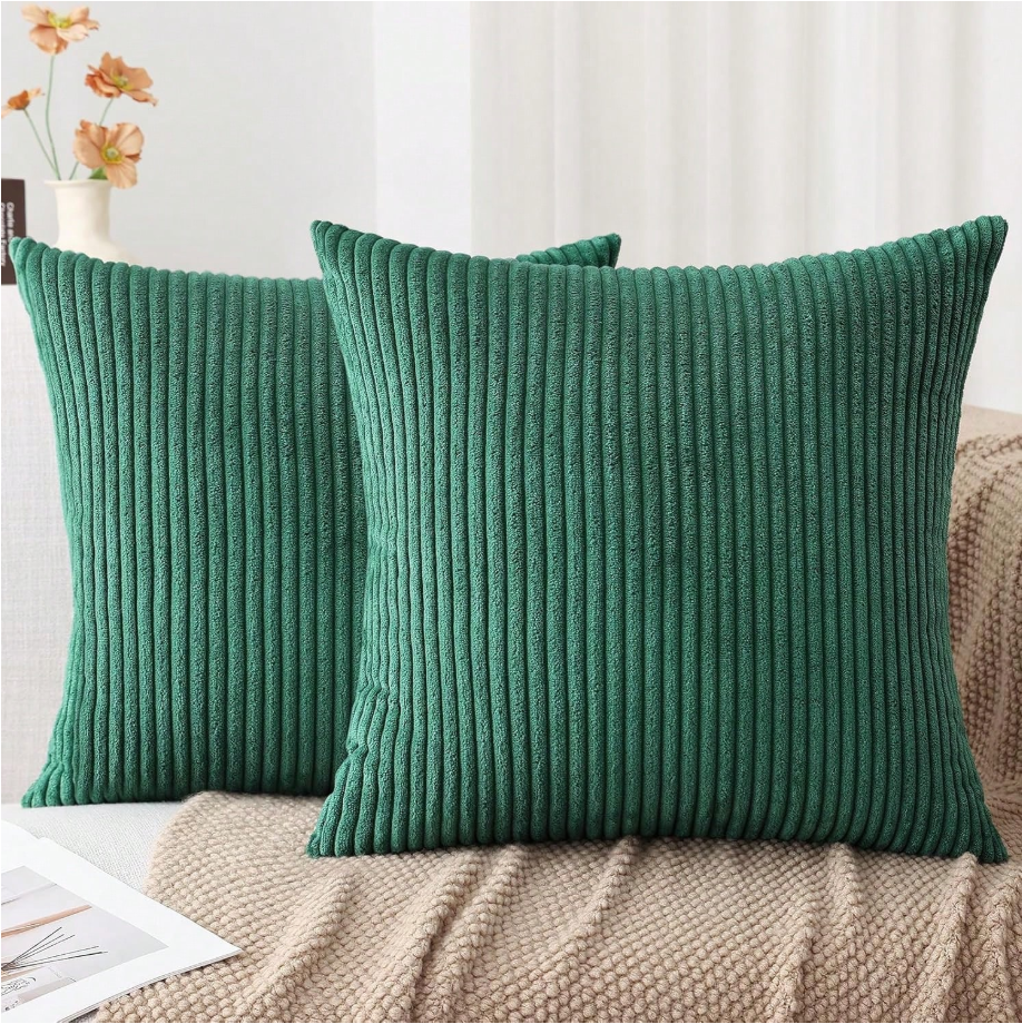 Lined Velvet Cushion Set of 2