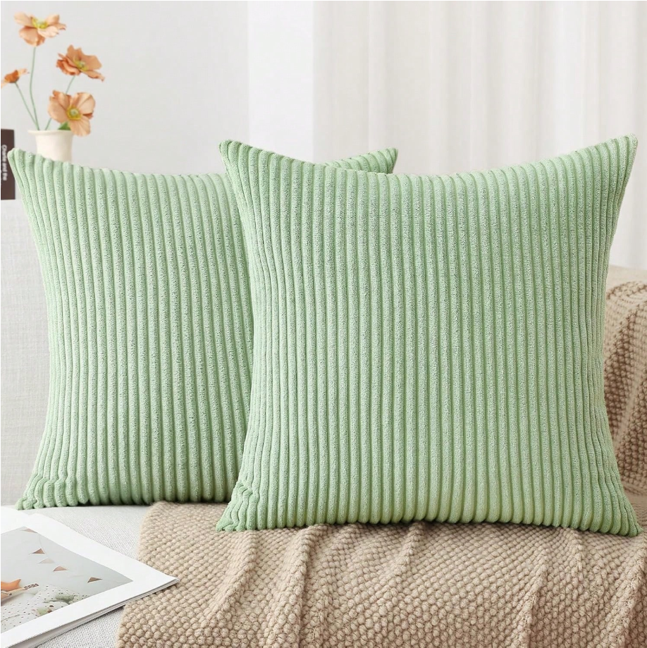 Lined Velvet Cushion Set of 2