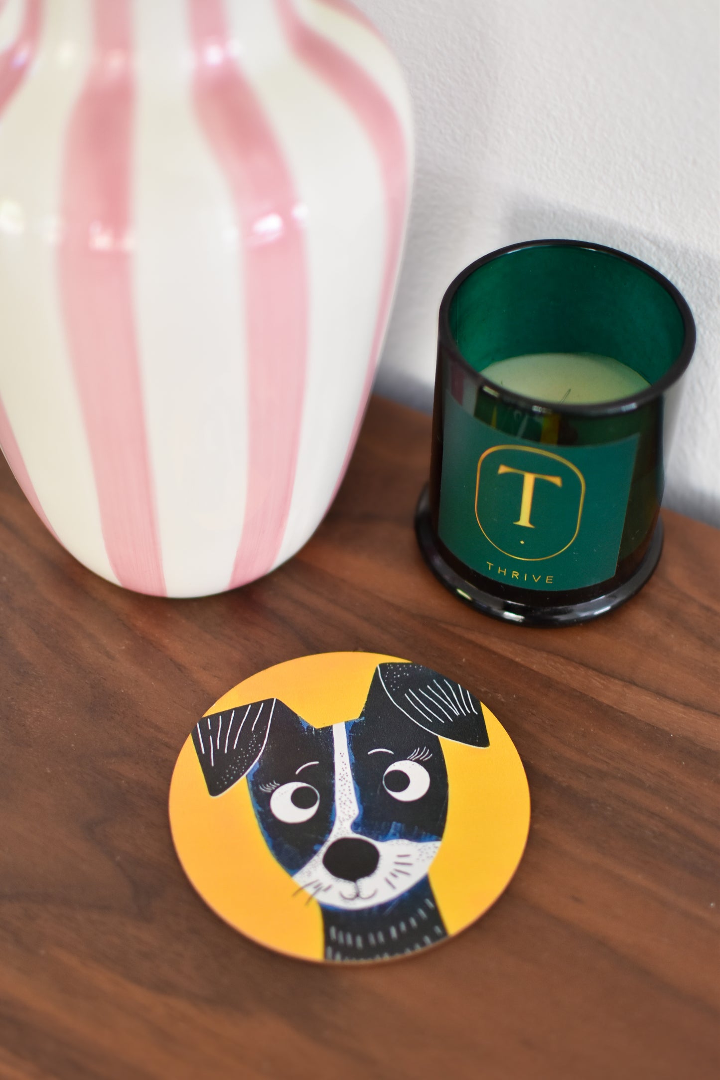 Paws & Pour Coaster Set of 6